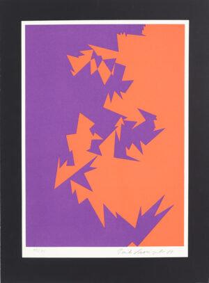 Pauli Vuorisalo - Serigrafia