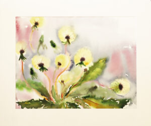 Kirsi Liuska - Kukat III - Akvarelli
